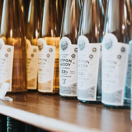 Σπίτι διακοπών Naxos Chalkion Beautiful Detsis House With Jacuzzi *